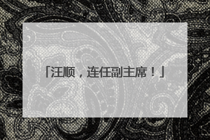 汪顺，连任副主席！